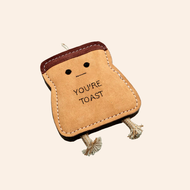 Eco Dog Toy - You're Toast