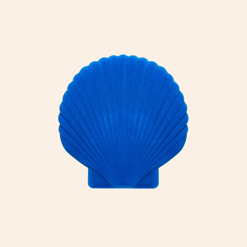 Shell Jewellery Box - Cobalt