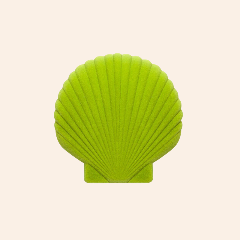 Shell Jewellery Box - Lime