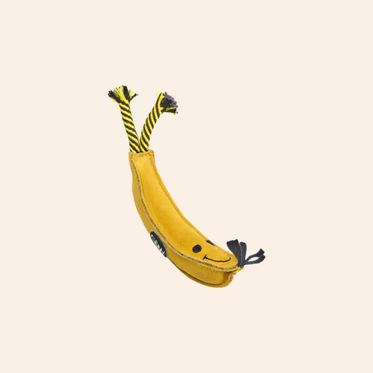 Eco Dog Toy - Barry Banana