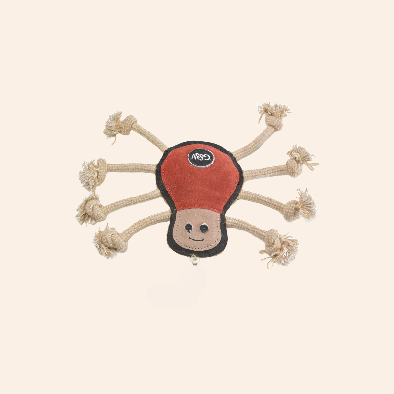 Eco Dog Toy - Spike Spider