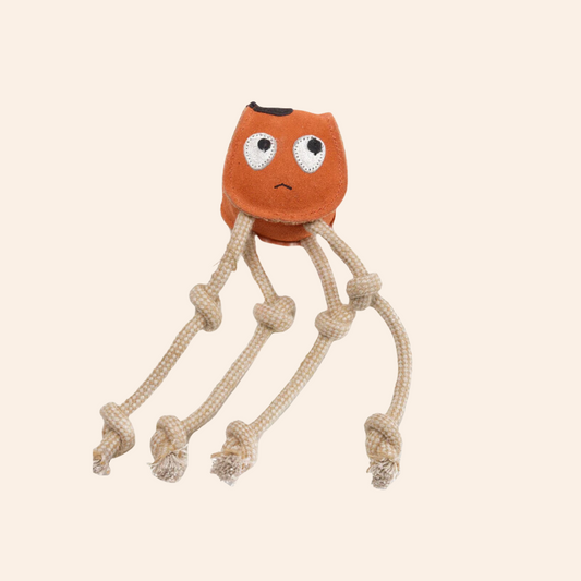 Eco Dog Toy - Sid Squid