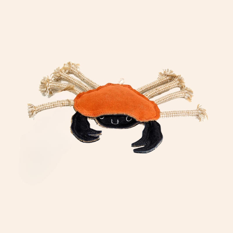 Eco Dog Toy - Carlos Crab