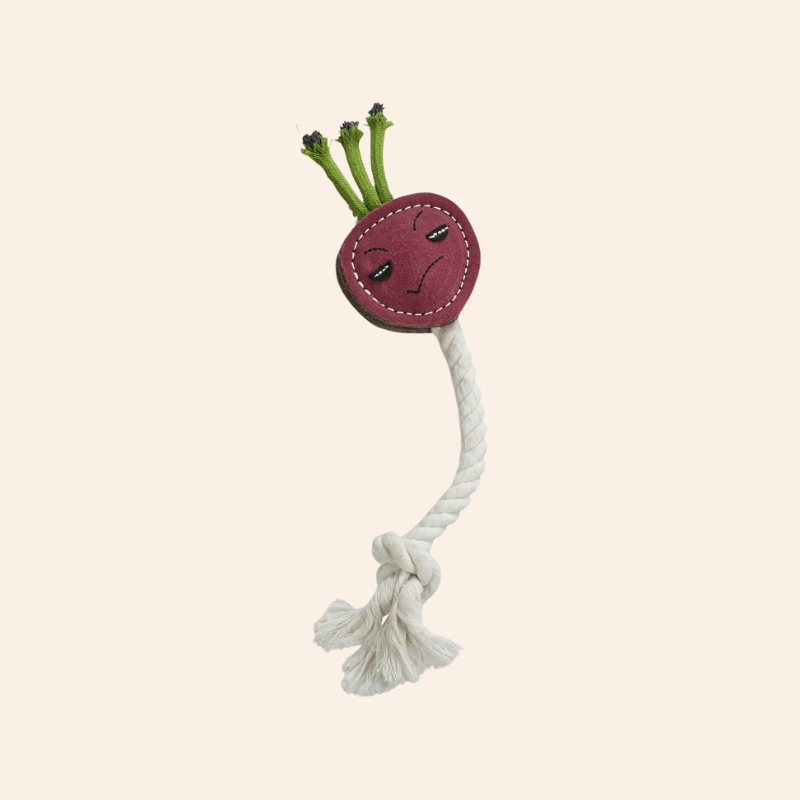 Eco Dog Toy - Ruby Radish