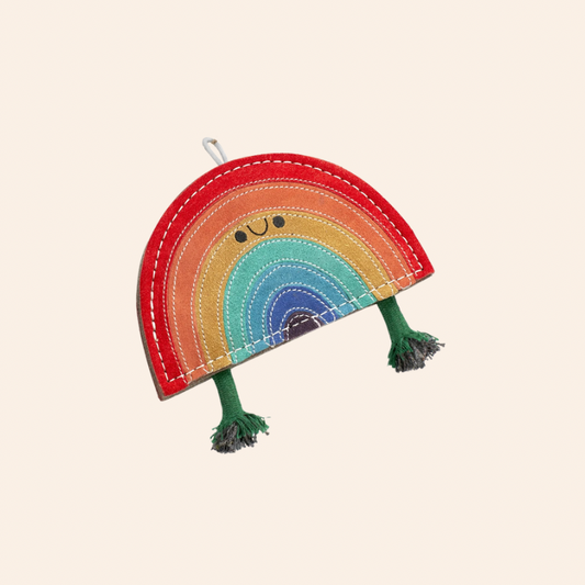 Eco Dog Toy - Rainbow