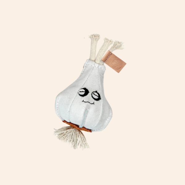 Eco Dog Toy - Gary Garlic